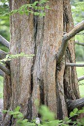 《杀手3》成该系列最成功作品 2022路线图公布